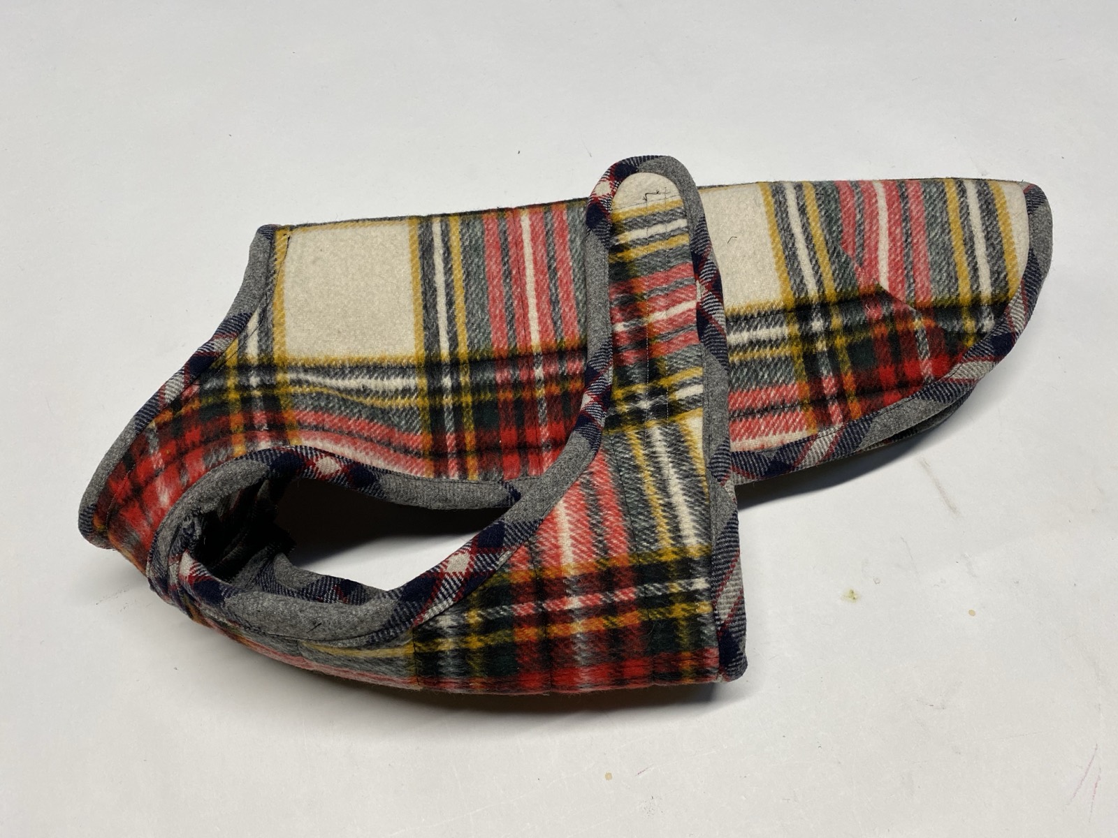 Dog coat for Pablo