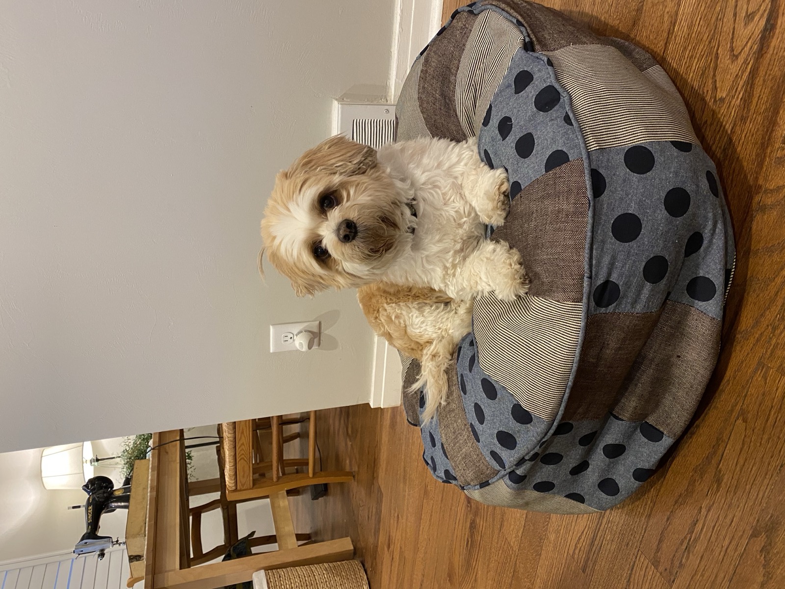 Pouf for Pablo